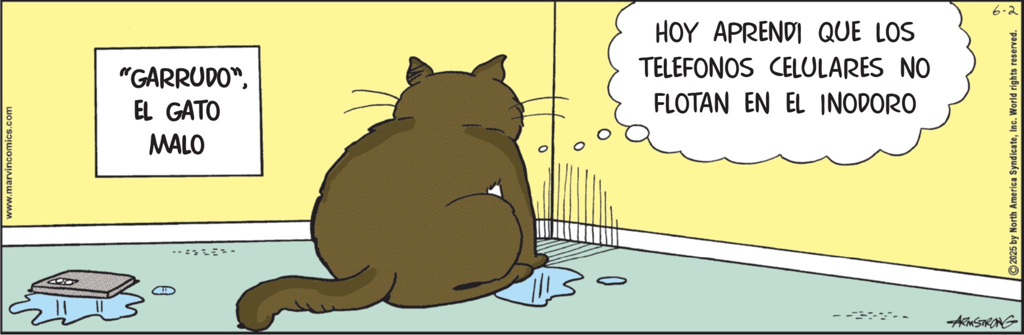 Tail OCR: www.marvincomics.com "GARRUDO"EL GATO MALO HOY APRENDI QUE LOS TELEFONOS CELULARES NO FLOTAN EN EL INODORO ARMSTRONG 10 2025 by North America SyndicateInc. World rights reserved. www.marvincomics.com " GARRUDO "EL GATO MALO HOY APRENDI QUE LOS TELEFONOS CELULARES NO FLOTAN EN EL INODORO ARMSTRONG 10 2025 by North America SyndicateInc. World rights reserved .