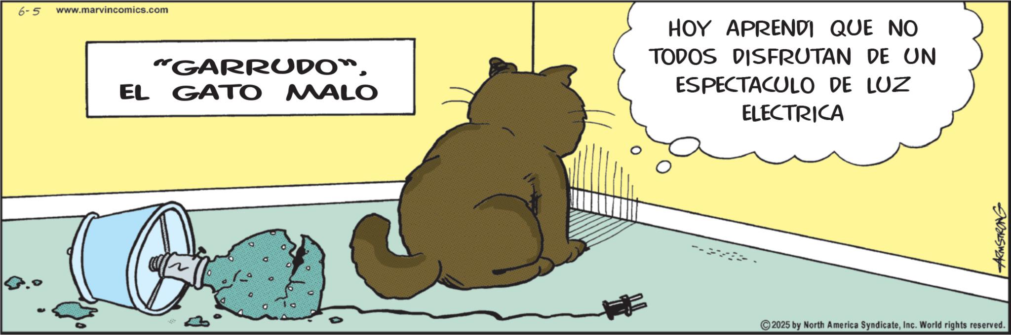 Tail OCR: 6-5 www.marvincomics.com "GARRUDO". EL GATO MALO HOY APRENDI QUE NO TODOS DISFRUTAN DE UN ESPECTACULO DE LUZ ELECTRICA 2025 by North America SyndicateInc. World rights reserved. ARMSTRONG 6-5 www.marvincomics.com " GARRUDO " . EL GATO MALO HOY APRENDI QUE NO TODOS DISFRUTAN DE UN ESPECTACULO DE LUZ ELECTRICA 2025 by North America SyndicateInc. World rights reserved . ARMSTRONG