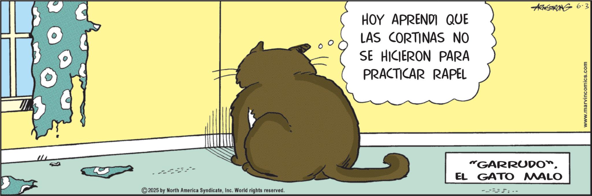 Animated cartoon OCR: 2025 by North America SyndicateInc. World rights reserved. ARMSTRONG 6.3 HOY APRENDI QUE LAS CORTINAS NO SE HICIERON PARA PRACTICAR RAPEL "GARRUDO"EL GATO MALO www.marvincomics.com 2025 by North America SyndicateInc. World rights reserved . ARMSTRONG 6.3 HOY APRENDI QUE LAS CORTINAS NO SE HICIERON PARA PRACTICAR RAPEL " GARRUDO "EL GATO MALO www.marvincomics.com