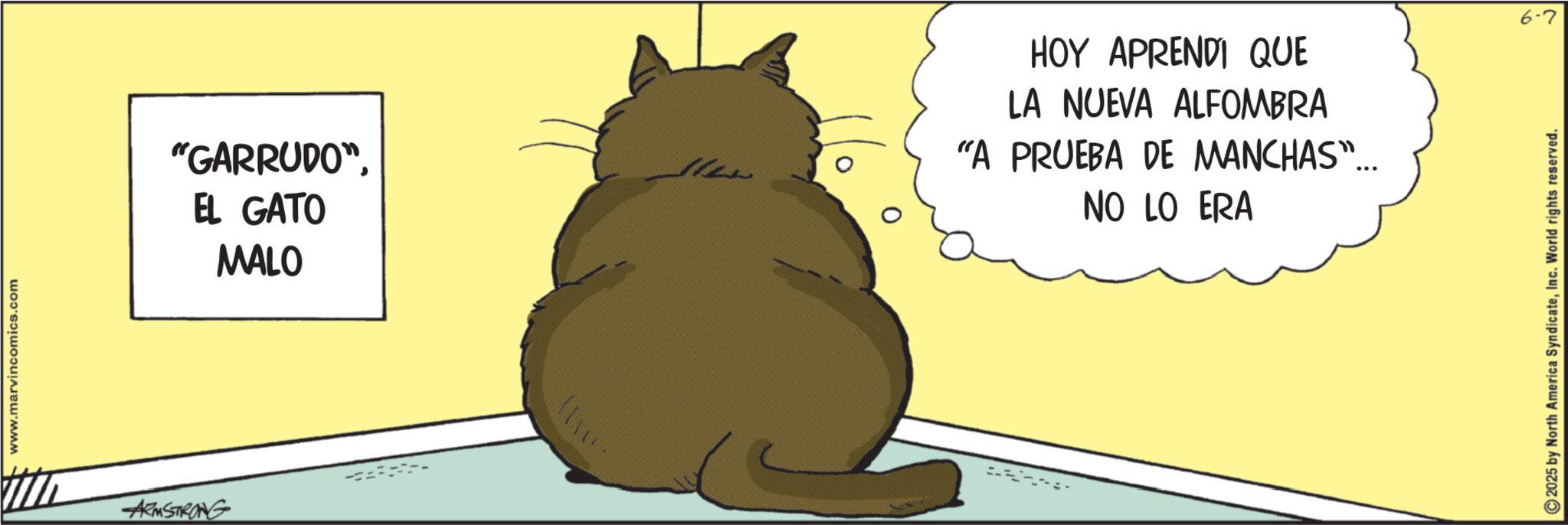 Animated cartoon OCR: www.marwincomics.com ARMSTRONG -==-- --- "GARRUDO"EL GATO MALO HOY APRENDI QUE LA NUEVA ALFOMBRA "A PRUEBA DE MANCHAS"... NO LO ERA 2025 by North America SyndicateInc. World rights reserved. 6-7 www.marwincomics.com ARMSTRONG - == -- --- " GARRUDO "EL GATO MALO HOY APRENDI QUE LA NUEVA ALFOMBRA " A PRUEBA DE MANCHAS " ... NO LO ERA 2025 by North America SyndicateInc. World rights reserved . 6-7