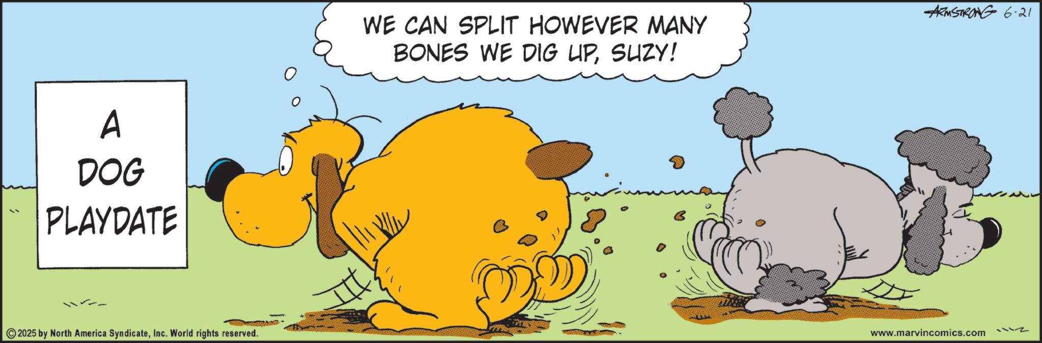 Fictional character OCR: A DOG PLAYDATE 2025 by North America SyndicateInc. World rights reserved. WE CAN SPLIT HOWEVER MANY BONES WE DIG UPSUZY! ARMSTRONG 6-21 www.marvincomics.com 1112 A DOG PLAYDATE 2025 by North America SyndicateInc. World rights reserved . WE CAN SPLIT HOWEVER MANY BONES WE DIG UPSUZY ! ARMSTRONG 6-21 www.marvincomics.com 1112