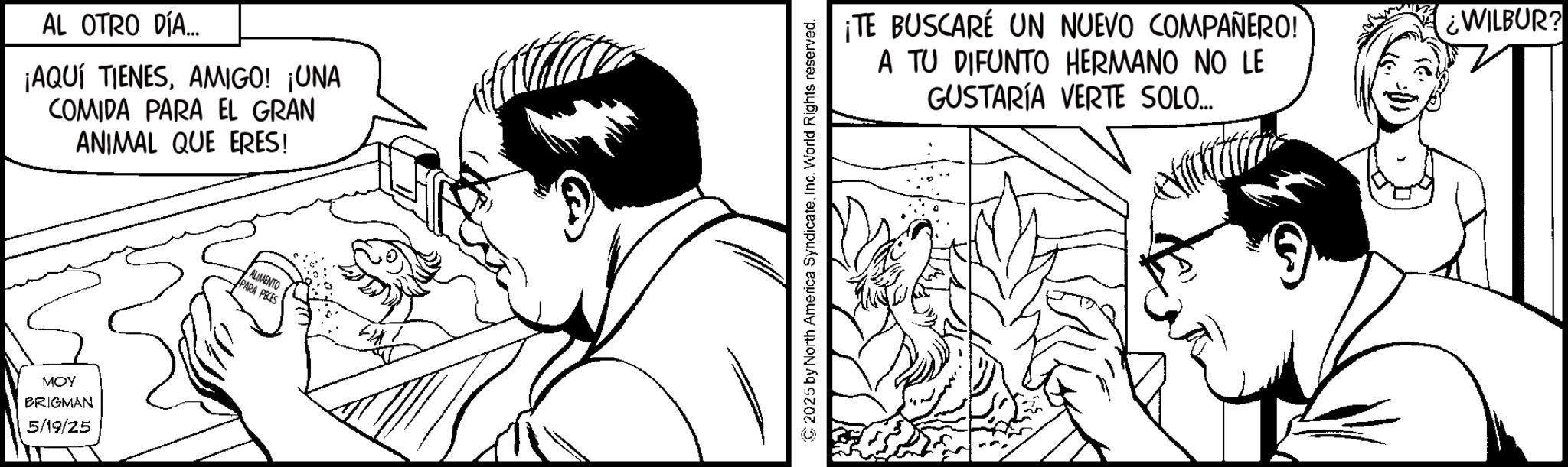Fictional character OCR: AL OTRO DÍA... ¡AQUÍ TIENESAMIGO! ¡UNA COMIDA PARA EL GRAN ANIMAL QUE ERES! MOY BRIGMAN 5/19/25 ALIMENTO PARA PECES ©2025 by North America SyndicateInc. World Rights reserved. ¡TE BUSCARÉ UN NUEVO COMPAÑERO! A TU DIFUNTO HERMANO NO LE GUSTARÍA VERTE SOLO... ¿WILBUR? AL OTRO DÍA ... ¡ AQUÍ TIENESAMIGO ! ¡ UNA COMIDA PARA EL GRAN ANIMAL QUE ERES ! MOY BRIGMAN 5/19/25 ALIMENTO PARA PECES © 2025 by North America SyndicateInc. World Rights reserved . ¡ TE BUSCARÉ UN NUEVO COMPAÑERO ! A TU DIFUNTO HERMANO NO LE GUSTARÍA VERTE SOLO ... ¿ WILBUR ?