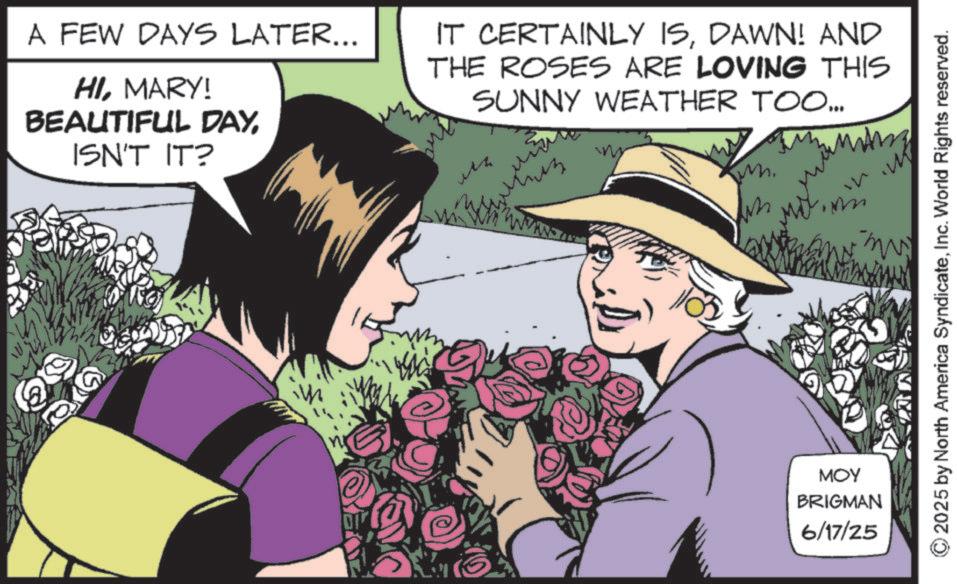 Fictional character OCR: @ e A FEW DAYS LATER... HIMARY! BEAUTIFUL DAYISN'T IT? IT CERTAINLY ISDAWN! AND THE ROSES ARE LOVING THIS SUNNY WEATHER TOO... th MOY BRIGMAN 6/17/25 m 2025 by North America SyndicateInc. World Rights reserved. @ e A FEW DAYS LATER ... HIMARY ! BEAUTIFUL DAYISN'T IT ? IT CERTAINLY ISDAWN ! AND THE ROSES ARE LOVING THIS SUNNY WEATHER TOO ... th MOY BRIGMAN 6/17/25 m 2025 by North America SyndicateInc. World Rights reserved .