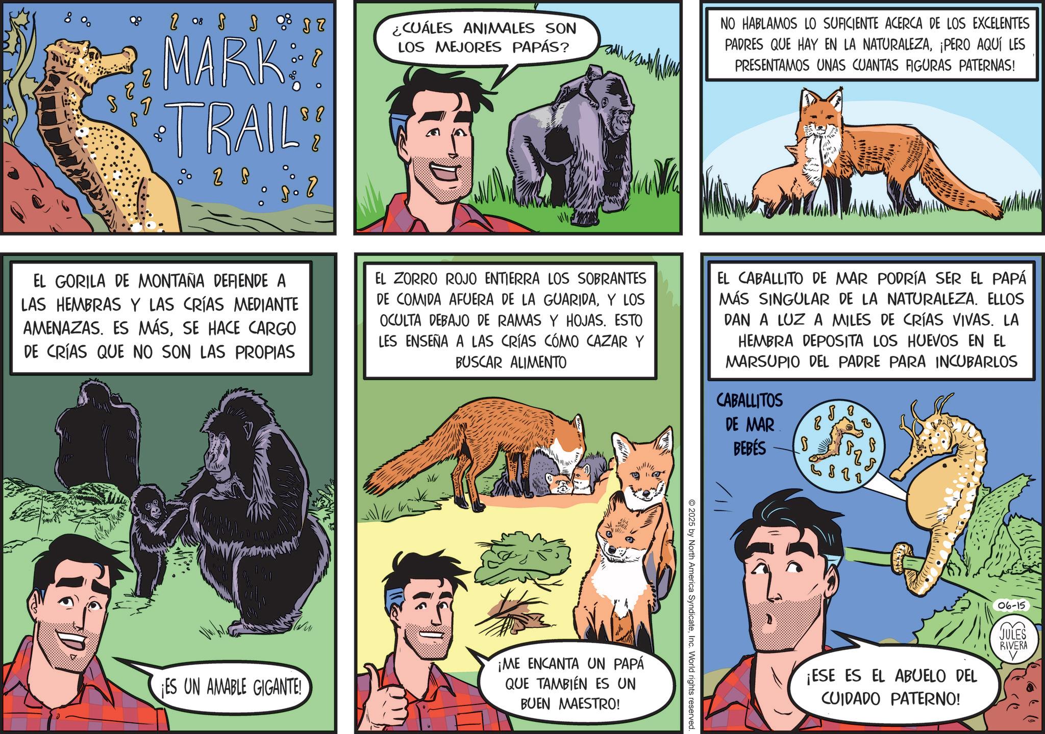 Publication OCR: 8 % S 8 P 08 28 % 1 Z MARK! *TRAIL"! % 2 S ¿CUÁLES ANIMALES SON LOS MEJORES PAPÁS? NO HABLAMOS LO SUFICIENTE ACERCA DE LOS EXCELENTES PADRES QUE HAY EN LA NATURALEZA¡PERO AQUÍ LES PRESENTAMOS UNAS CUANTAS FIGURAS PATERNAS! EL GORILA DE MONTAÑA DEFIENDE A LAS HEMBRAS Y LAS CRÍAS MEDIANTE AMENAZAS. ES MÁSSE HACE CARGO DE CRÍAS QUE NO SON LAS PROPIAS EL ZORRO ROJO ENTIERRA LOS SOBRANTES DE COMIDA AFUERA DE LA GUARIDAY LOS OCULTA DEBAJO DE RAMAS Y HOJAS. ESTO LES ENSEÑA A LAS CRÍAS CÓMO CAZAR Y BUSCAR ALIMENTO EL CABALLITO DE MAR PODRÍA SER EL PAPÁ MÁS SINGULAR DE LA NATURALEZA. ELLOS DAN A LUZ A MILES DE CRÍAS VIVAS. LA HEMBRA DEPOSITA LOS HUEVOS EN EL MARSUPIO DEL PADRE PARA INCUBARLOS CABALLITOS DE MAR 8 88 110 ¡ES UN AMABLE GIGANTE! ¡ME ENCANTA UN PAPÁ QUE TAMBIÉN ES UN BUEN MAESTRO! 2025 by North America SyndicateInc. World rights reserved. BEBÉS S 33 06-15 JULES (?? RIVERA V ¡ESE ES EL ABUELO DEL CUIDADO PATERNO! 8 % S 8 P 08 28 % 1 Z MARK ! * TRAIL " ! % 2 S ¿ CUÁLES ANIMALES SON LOS MEJORES PAPÁS ? NO HABLAMOS LO SUFICIENTE ACERCA DE LOS EXCELENTES PADRES QUE HAY EN LA NATURALEZA¡ PERO AQUÍ LES PRESENTAMOS UNAS CUANTAS FIGURAS PATERNAS ! EL GORILA DE MONTAÑA DEFIENDE A LAS HEMBRAS Y LAS CRÍAS MEDIANTE AMENAZAS . ES MÁSSE HACE CARGO DE CRÍAS QUE NO SON LAS PROPIAS EL ZORRO ROJO ENTIERRA LOS SOBRANTES DE COMIDA AFUERA DE LA GUARIDAY LOS OCULTA DEBAJO DE RAMAS Y HOJAS . ESTO LES ENSEÑA A LAS CRÍAS CÓMO CAZAR Y BUSCAR ALIMENTO EL CABALLITO DE MAR PODRÍA SER EL PAPÁ MÁS SINGULAR DE LA NATURALEZA . ELLOS DAN A LUZ A MILES DE CRÍAS VIVAS . LA HEMBRA DEPOSITA LOS HUEVOS EN EL MARSUPIO DEL PADRE PARA INCUBARLOS CABALLITOS DE MAR 8 88 110 ¡ ES UN AMABLE GIGANTE ! ¡ ME ENCANTA UN PAPÁ QUE TAMBIÉN ES UN BUEN MAESTRO ! 2025 by North America SyndicateInc. World rights reserved . BEBÉS S 33 06-15 JULES ( ?? RIVERA V ¡ ESE ES EL ABUELO DEL CUIDADO PATERNO !