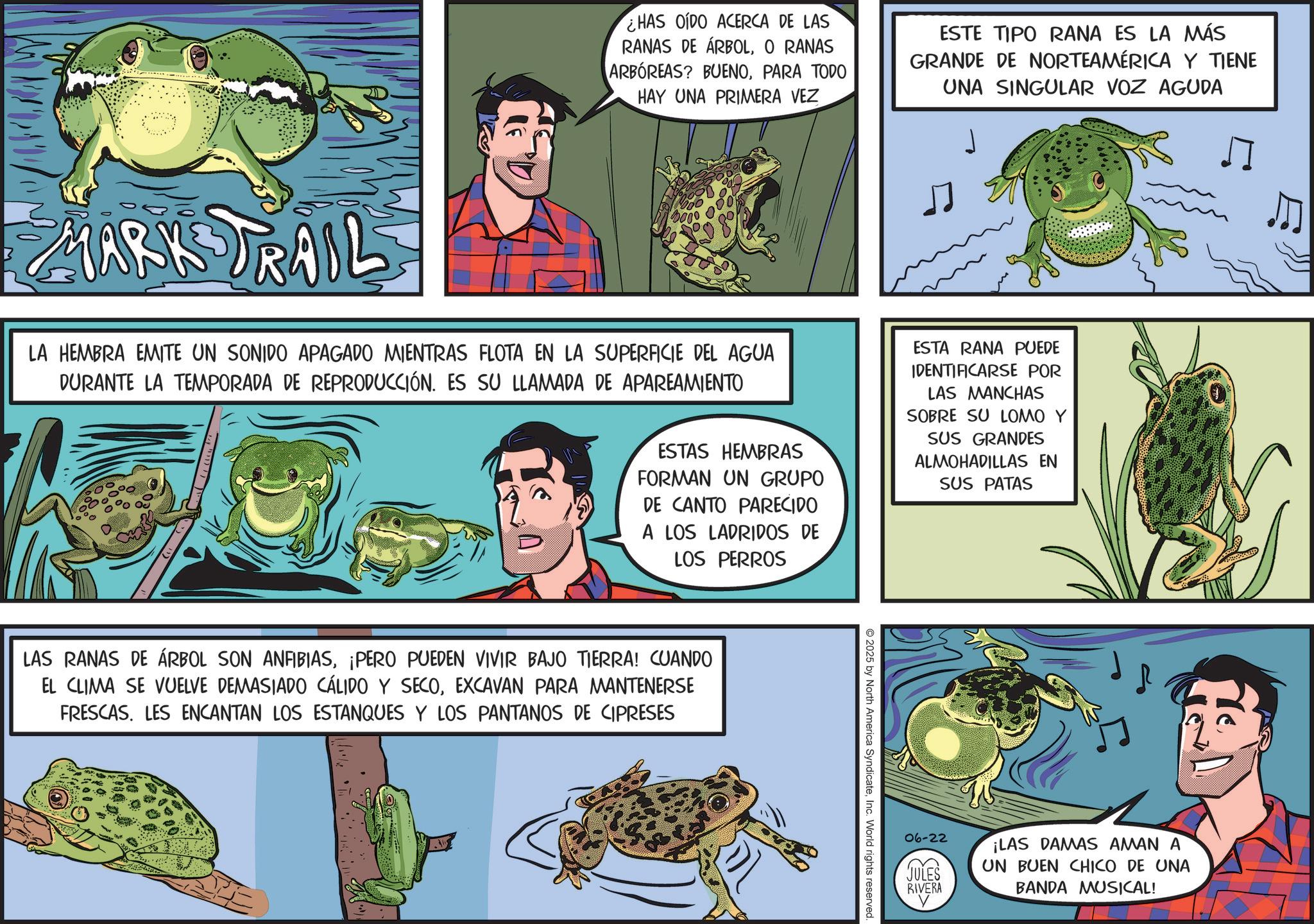 Animation OCR: MARK TRAIL ¿HAS OIDO ACERCA DE LAS RANAS DE ÁRBOLO RANAS ARBÓREAS? BUENOPARA TODO HAY UNA PRIMERA VEZ ESTE TIPO RANA ES LA MÁS GRANDE DE NORTEAMÉRICA Y TIENE UNA SINGULAR VOZ AGUDA LA HEMBRA EMITE UN SONIDO APAGADO MIENTRAS FLOTA EN LA SUPERFICIE DEL AGUA DURANTE LA TEMPORADA DE REPRODUCCIÓN. ES SU LLAMADA DE APAREAMIENTO ESTAS HEMBRAS FORMAN UN GRUPO DE CANTO PARECIDO A LOS LADRIDOS DE LOS PERROS ESTA RANA PUEDE IDENTIFICARSE POR LAS MANCHAS SOBRE SU LOMO Y SUS GRANDES ALMOHADILLAS EN SUS PATAS LAS RANAS DE ÁRBOL SON ANFIBIAS¡PERO PUEDEN VIVIR BAJO TIERRA! CUANDO EL CLIMA SE VUELVE DEMASIADO CÁLIDO Y SECOEXCAVAN PARA MANTENERSE FRESCAS. LES ENCANTAN LOS ESTANQUES Y LOS PANTANOS DE CIPRESES 2025 by North America SyndicateInc. World rights reserved. 06-22 JULES RIVERA ¡LAS DAMAS AMAN A UN BUEN CHICO DE UNA BANDA MUSICAL! MARK TRAIL ¿ HAS OIDO ACERCA DE LAS RANAS DE ÁRBOLO RANAS ARBÓREAS ? BUENOPARA TODO HAY UNA PRIMERA VEZ ESTE TIPO RANA ES LA MÁS GRANDE DE NORTEAMÉRICA Y TIENE UNA SINGULAR VOZ AGUDA LA HEMBRA EMITE UN SONIDO APAGADO MIENTRAS FLOTA EN LA SUPERFICIE DEL AGUA DURANTE LA TEMPORADA DE REPRODUCCIÓN . ES SU LLAMADA DE APAREAMIENTO ESTAS HEMBRAS FORMAN UN GRUPO DE CANTO PARECIDO A LOS LADRIDOS DE LOS PERROS ESTA RANA PUEDE IDENTIFICARSE POR LAS MANCHAS SOBRE SU LOMO Y SUS GRANDES ALMOHADILLAS EN SUS PATAS LAS RANAS DE ÁRBOL SON ANFIBIAS¡ PERO PUEDEN VIVIR BAJO TIERRA ! CUANDO EL CLIMA SE VUELVE DEMASIADO CÁLIDO Y SECOEXCAVAN PARA MANTENERSE FRESCAS . LES ENCANTAN LOS ESTANQUES Y LOS PANTANOS DE CIPRESES 2025 by North America SyndicateInc. World rights reserved . 06-22 JULES RIVERA ¡ LAS DAMAS AMAN A UN BUEN CHICO DE UNA BANDA MUSICAL !