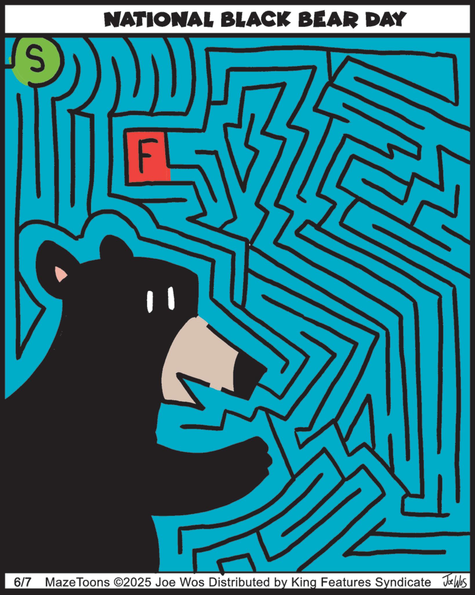 Graphic design OCR: S NATIONAL BLACK BEAR DAY 6/7 Maze Toons ©2025 Joe Wos Distributed by King Features Syndicate Joe Was S NATIONAL BLACK BEAR DAY 6/7 Maze Toons © 2025 Joe Wos Distributed by King Features Syndicate Joe Was