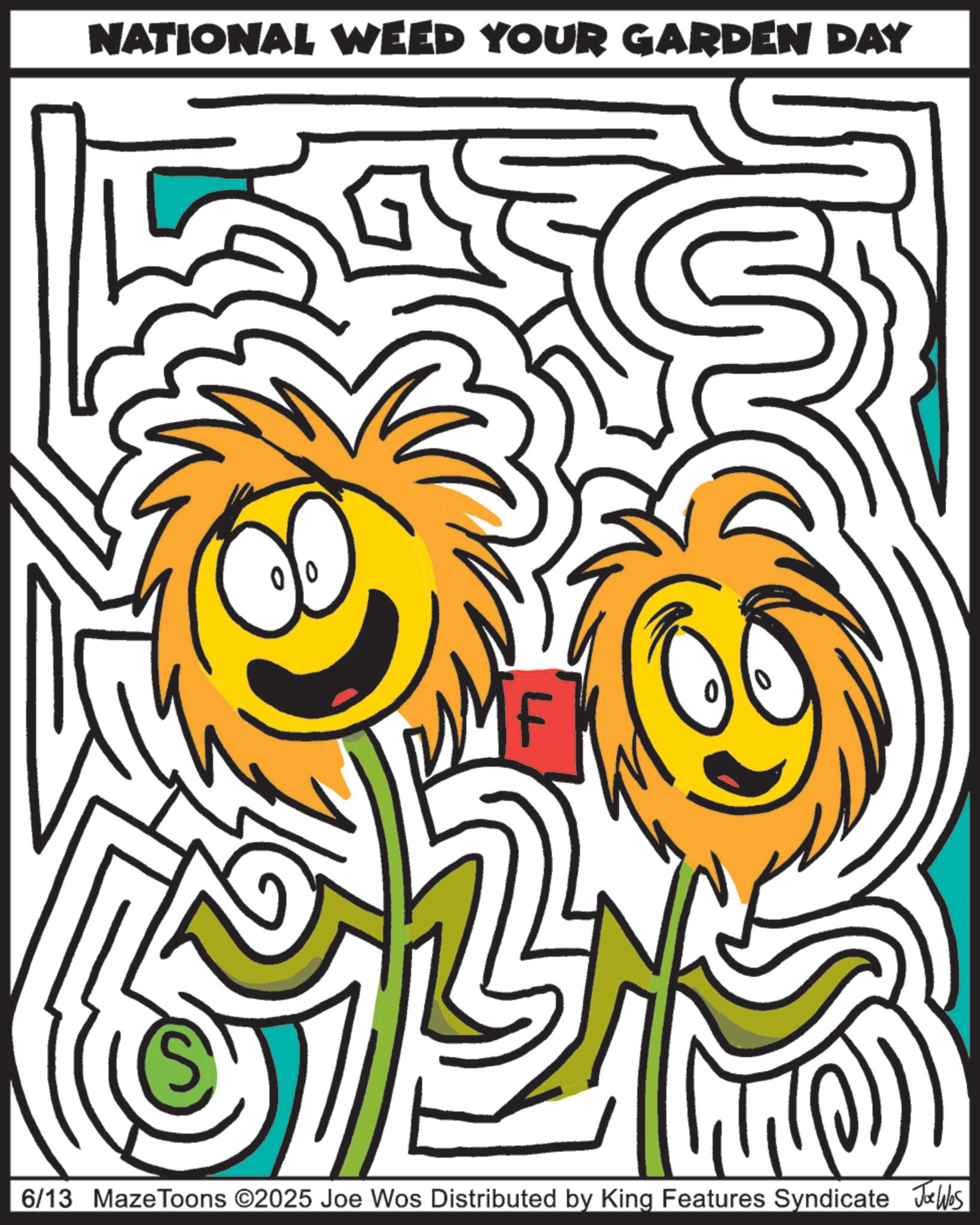 Graphic design OCR: NATIONAL WEED YOUR GARDEN DAY F 6/13 MazeToons ©2025 Joe Wos Distributed by King Features Syndicate Joe Was NATIONAL WEED YOUR GARDEN DAY F 6/13 MazeToons © 2025 Joe Wos Distributed by King Features Syndicate Joe Was