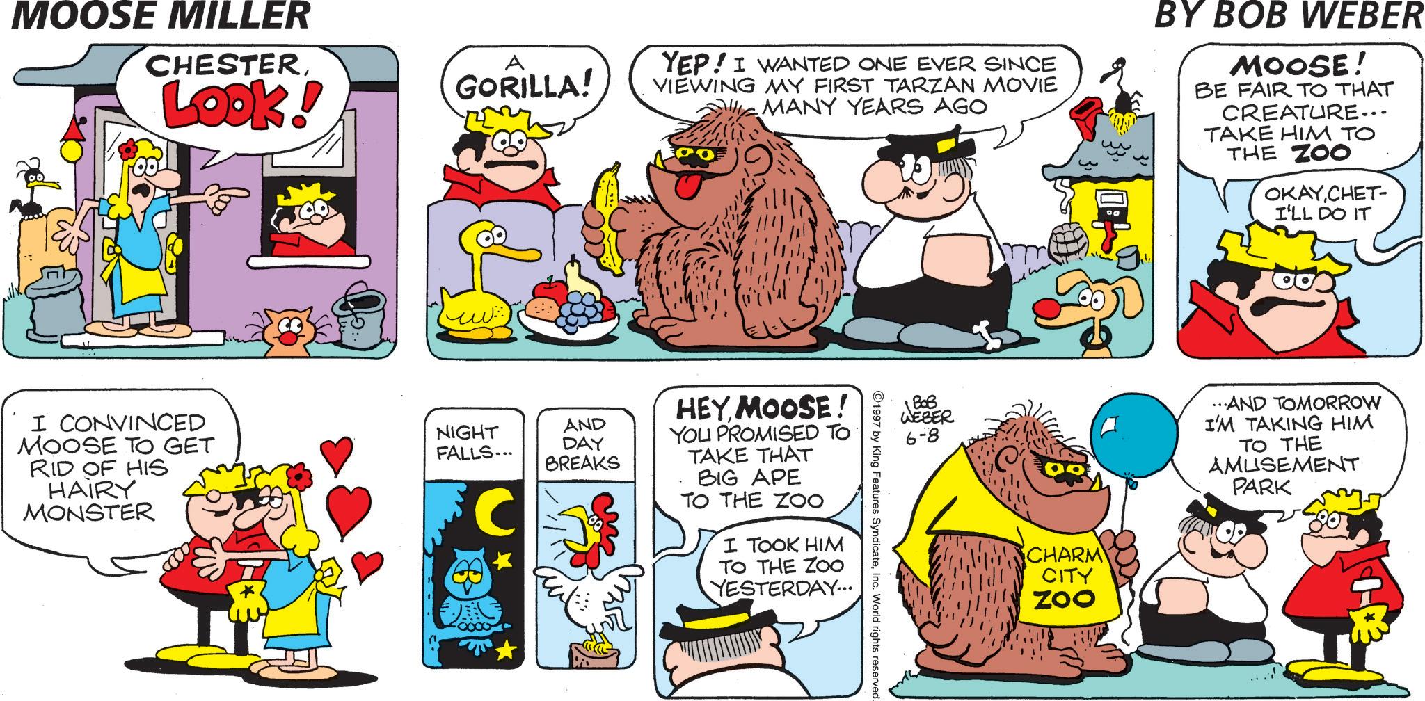 Pleased OCR: MOOSE MILLER CHESTERLOOK! I CONVINCED MOOSE TO GET RID OF HIS HAIRY MONSTER A GORILLA! YEP! I WANTED ONE EVER SINCE VIEWING MY FIRST TARZAN MOVIE MANY YEARS AGO BY BOB WEBER MOOSE! BE FAIR TO THAT CREATURE... TAKE HIM TO THE ZOO OKAYCHET- I'LL DO IT NIGHT FALLS... AND DAY BREAKS HEY MOOSE! YOU PROMISED TO TAKE THAT BIG APE TO THE ZOO I TOOK HIM TO THE ZOO YESTERDAY... ??? WEBER 6-8 1997 by King Features SyndicateInc. World rights reserved. CHARM CITY ZOO ...AND TOMORROW I'M TAKING HIM TO THE AMUSEMENT PARK MOOSE MILLER CHESTERLOOK ! I CONVINCED MOOSE TO GET RID OF HIS HAIRY MONSTER A GORILLA ! YEP ! I WANTED ONE EVER SINCE VIEWING MY FIRST TARZAN MOVIE MANY YEARS AGO BY BOB WEBER MOOSE ! BE FAIR TO THAT CREATURE ... TAKE HIM TO THE ZOO OKAYCHET- I'LL DO IT NIGHT FALLS ... AND DAY BREAKS HEY MOOSE ! YOU PROMISED TO TAKE THAT BIG APE TO THE ZOO I TOOK HIM TO THE ZOO YESTERDAY ... ??? WEBER 6-8 1997 by King Features SyndicateInc. World rights reserved . CHARM CITY ZOO ... AND TOMORROW I'M TAKING HIM TO THE AMUSEMENT PARK
