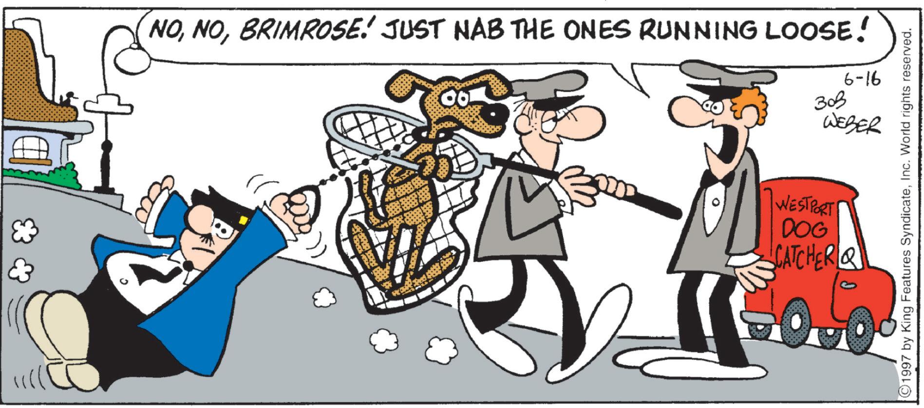 Photo caption OCR: NOBRIMROSE! JUST NAB THE ONES RUNNING LOOSE! 100. 6-16 ??? WEBER WESTPORT DOG CATCHER ©1997 by King Features SyndicateInc. World rights reserved. NOBRIMROSE ! JUST NAB THE ONES RUNNING LOOSE ! 100 . 6-16 ??? WEBER WESTPORT DOG CATCHER © 1997 by King Features SyndicateInc. World rights reserved .