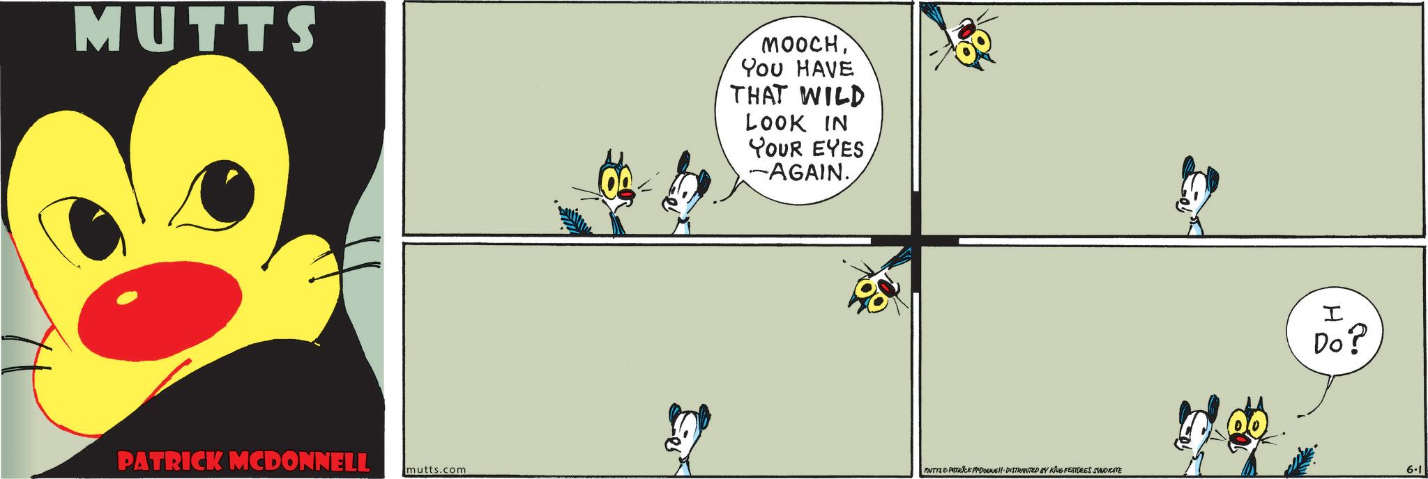 Fiction OCR: MUTTS MOOCHYou HAVE THAT WILD LOOK IN YOUR EYES -AGAIN. PATRICK MCDONNELL mutts.com MUTTS PATRICK MYDOUNE DISTRIBUTED BY KING FEATURES SYNDICATE I ?? Do? 6.1 MUTTS MOOCHYou HAVE THAT WILD LOOK IN YOUR EYES -AGAIN . PATRICK MCDONNELL mutts.com MUTTS PATRICK MYDOUNE DISTRIBUTED BY KING FEATURES SYNDICATE I ?? Do ? 6.1