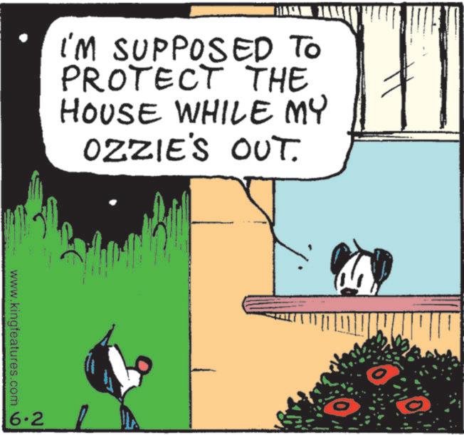 Publication OCR: www.kingfeatures.com 6.2 I'M SUPPOSED TO PROTECT THE HOUSE WHILE MY OZZIE'S OUT. - www.kingfeatures.com 6.2 I'M SUPPOSED TO PROTECT THE HOUSE WHILE MY OZZIE'S OUT . -