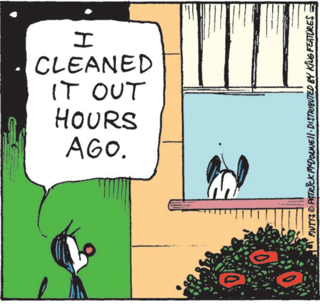 Animation OCR: I CLEANED AGO. HOURS IT OUT MUTTS © PATRICK MEDONNE DISTRIBUTED BY KING FEATURES I CLEANED AGO . HOURS IT OUT MUTTS © PATRICK MEDONNE DISTRIBUTED BY KING FEATURES