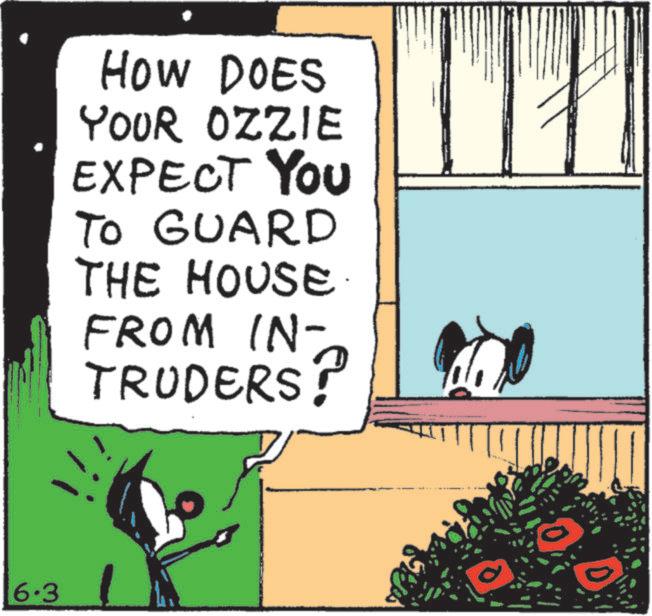 Graphics OCR: 16.3 HOW DOES YOUR OZZIE EXPECT YOU TO GUARD ?? THE HOUSE. FROM IN- TRUDERS! 16.3 HOW DOES YOUR OZZIE EXPECT YOU TO GUARD ?? THE HOUSE . FROM IN- TRUDERS !