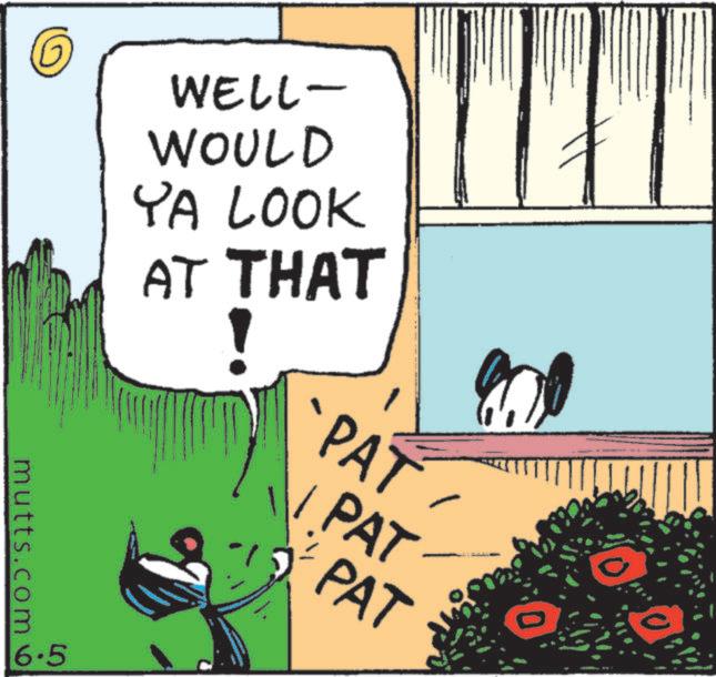 Graphics OCR: WELL- WOULD YA LOOK AT THAT mutts.com 6.5 PAT PAT PAT WELL- WOULD YA LOOK AT THAT mutts.com 6.5 PAT PAT PAT