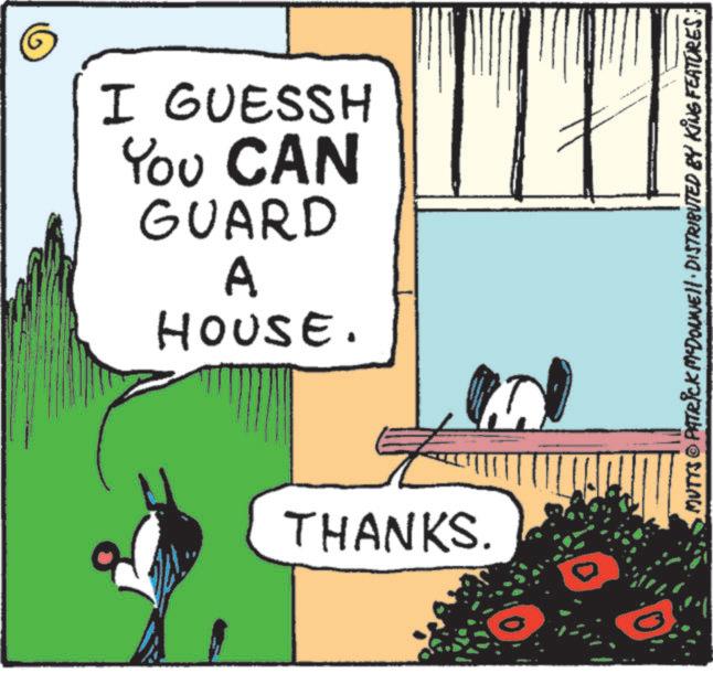 Publication OCR: I GUESSH You CAN GUARD A HOUSE. THANKS. T MUTTS © PATRICK MYDONNE DISTRIBUTED BY KING FEATURES I GUESSH You CAN GUARD A HOUSE . THANKS . T MUTTS © PATRICK MYDONNE DISTRIBUTED BY KING FEATURES