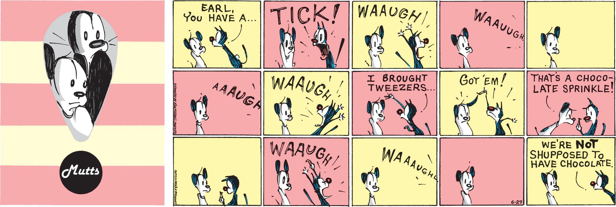Publication OCR: Mutts EARLYou HAVE A... DISTRIBUTED BY KING FEATURES SYNDICATE MUTYS PATRICK MYDONE!! TICK! WAAUGHAAAUGA WAAUGH WAAUGH WAAUUGH I BROUGHT TWEEZERS... GOT 'EM! THAT'S A CHOCO- LATE SPRINKLE! WAAAUGH 6.29 WE'RE NOT SHUPPOSED TO HAVE CHOCOLATE. Mutts EARLYou HAVE A ... DISTRIBUTED BY KING FEATURES SYNDICATE MUTYS PATRICK MYDONE !! TICK ! WAAUGHAAAUGA WAAUGH WAAUGH WAAUUGH I BROUGHT TWEEZERS ... GOT ' EM ! THAT'S A CHOCO- LATE SPRINKLE ! WAAAUGH 6.29 WE'RE NOT SHUPPOSED TO HAVE CHOCOLATE .