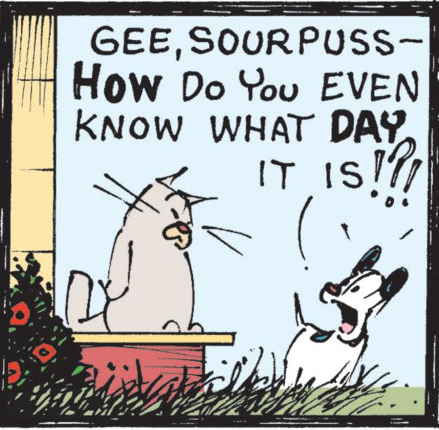 Felidae OCR: GEESOURPUSS- How Do You EVEN KNOW WHAT DAY IT IS!?! GEESOURPUSS- How Do You EVEN KNOW WHAT DAY IT IS ! ? !