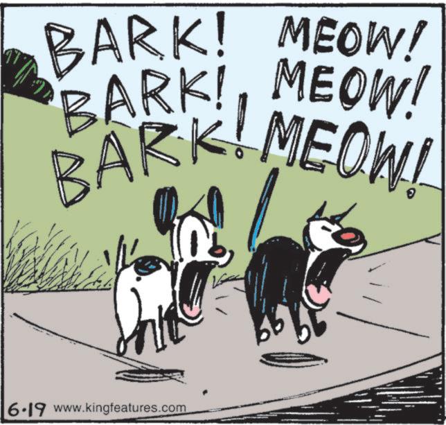 Line art OCR: BARK! MEOW! BARKIMEOW! BARKIMEOW! 6.19 www.kingfeatures.com BARK ! MEOW ! BARKIMEOW ! BARKIMEOW ! 6.19 www.kingfeatures.com