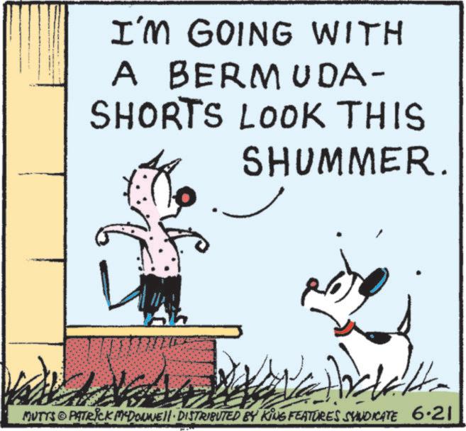 Canidae OCR: I'M GOING WITH A BERMUDA- SHORTS LOOK THIS SHUMMER. MUTTS PATRICK MEDONNELL DISTRIBUTED BY KING FEATURES SYNDICATE 6.21 I'M GOING WITH A BERMUDA- SHORTS LOOK THIS SHUMMER . MUTTS PATRICK MEDONNELL DISTRIBUTED BY KING FEATURES SYNDICATE 6.21