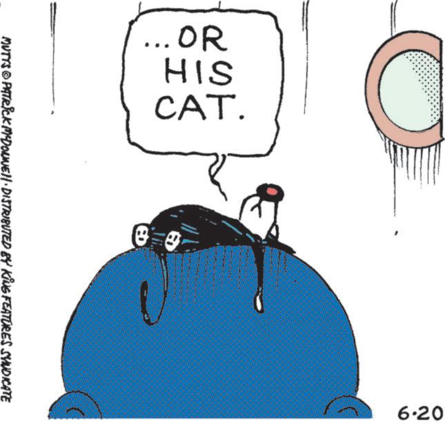 Felinae OCR: ... OR HIS CAT. MUTTS © PATRICK MCDONNELL DISTRIBUTED BY KING FEATURES SYNDICATE 6.20 ... OR HIS CAT . MUTTS © PATRICK MCDONNELL DISTRIBUTED BY KING FEATURES SYNDICATE 6.20