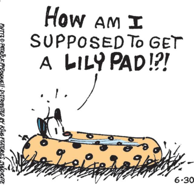 OCR: How AM I SUPPOSED TO GET A LILY PAD!?! MUTTS © PATRICK MCDONNELL DISTRIBUTED BY KING FEATURES 9/24 6.30 How AM I SUPPOSED TO GET A LILY PAD ! ? ! MUTTS © PATRICK MCDONNELL DISTRIBUTED BY KING FEATURES 9/24 6.30