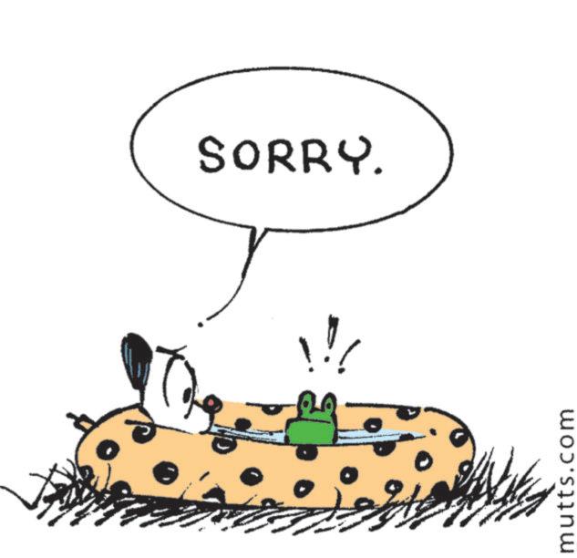 Animated cartoon OCR: SORRY. mutts.com SORRY . mutts.com