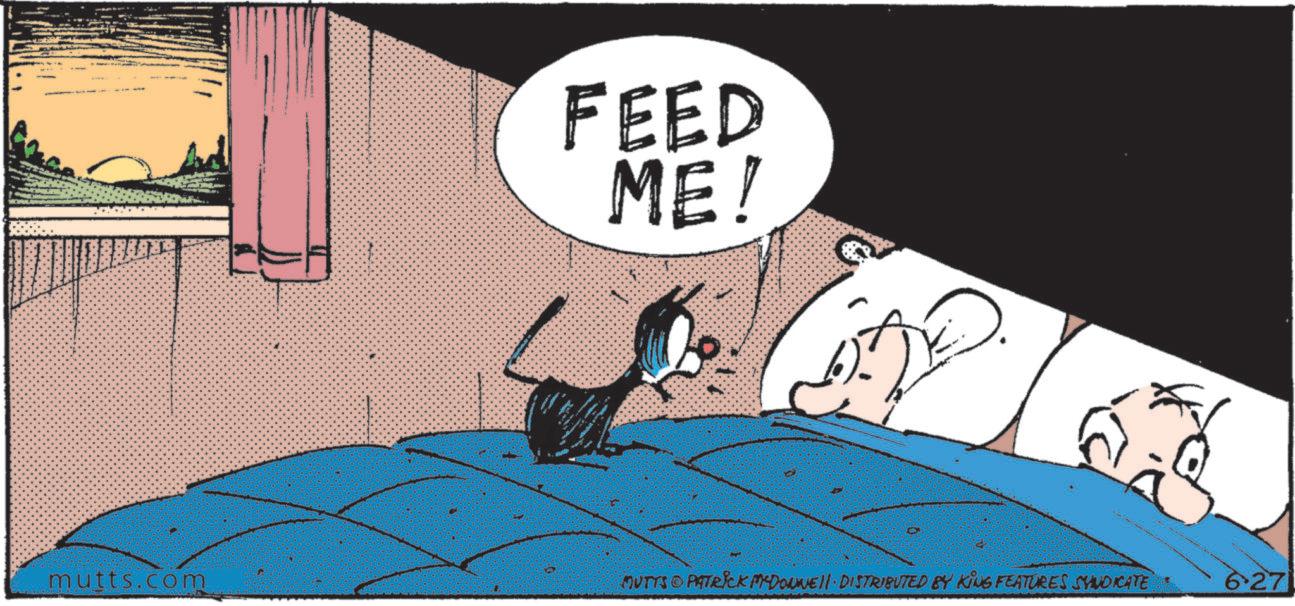 Publication OCR: FEED ME! mutts.com MUTTS© PATRICK MADONNE DISTRIBUTED BY KING FEATURES SYNDICATE 6.27 FEED ME ! mutts.com MUTTS © PATRICK MADONNE DISTRIBUTED BY KING FEATURES SYNDICATE 6.27