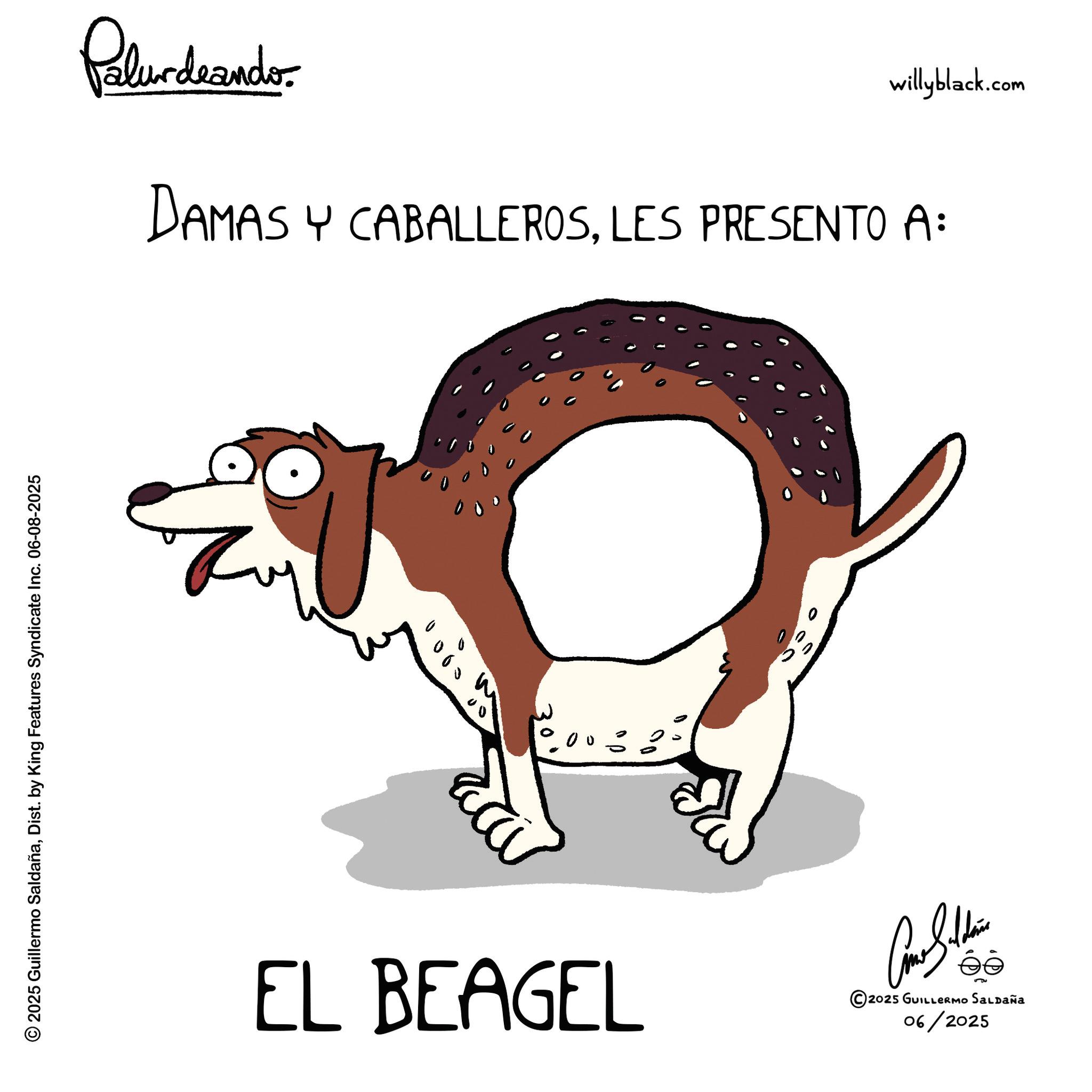 Tail OCR: © 2025 Guillermo SaldañaDist. by King Features Syndicate Inc. 06-08-2025 Polurdnando willyblack.com DAMAS Y CABALLEROSLES PRESENTO A: EL BEAGEL Como Seltene 06/2025 ee 2025 GUILLERMO SALDAÑA © 2025 Guillermo SaldañaDist . by King Features Syndicate Inc. 06-08-2025 Polurdnando willyblack.com DAMAS Y CABALLEROSLES PRESENTO A : EL BEAGEL Como Seltene 06/2025 ee 2025 GUILLERMO SALDAÑA