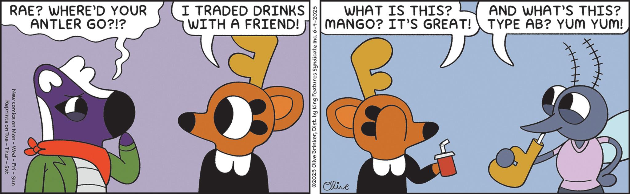 Graphic design OCR: RAE? WHERE'D YOUR ANTLER GO?!? New comics on Mon - Wed - Fri - Sun Reprints on Tue - Thur - Sat I TRADED DRINKS WITH A FRIEND! ©2025 Olive BrinkerDist. by King Features Syndicate Inc. 6-4-2025 WHAT IS THIS? MANGO? IT'S GREAT! AND WHAT'S THIS? TYPE AB? YUM YUM! Olive RAE ? WHERE'D YOUR ANTLER GO ? ! ? New comics on Mon - Wed - Fri - Sun Reprints on Tue - Thur - Sat I TRADED DRINKS WITH A FRIEND ! © 2025 Olive BrinkerDist . by King Features Syndicate Inc. 6-4-2025 WHAT IS THIS ? MANGO ? IT'S GREAT ! AND WHAT'S THIS ? TYPE AB ? YUM YUM ! Olive