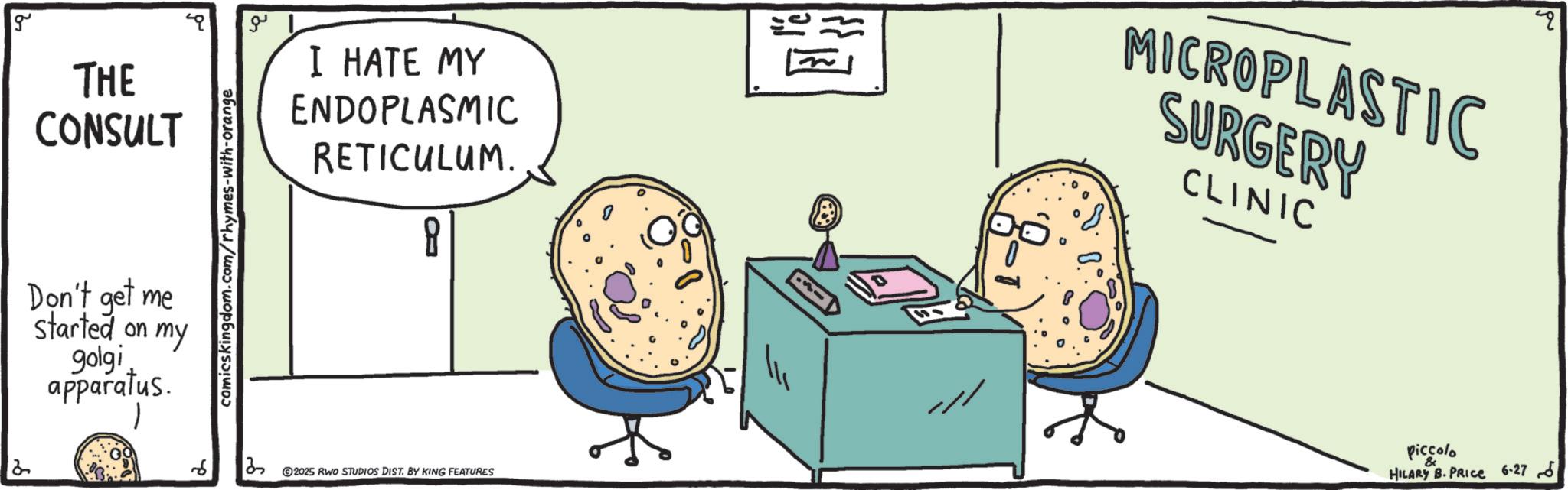OCR: 2 g THE CONSULT Don't get me Started on my golgi apparatus. comicskingdom.com/rhymes-with-orange ?? I HATE MY ENDOPLASMIC RETICULUM. 8 MICROPLASTIC SURGERY CLINIC 4 6 2 © 2025 RWO STUDIOS DIST. BY KING FEATURES piccolo HILARY B. PRICE 6-276 2 g THE CONSULT Don't get me Started on my golgi apparatus . comicskingdom.com/rhymes-with-orange ?? I HATE MY ENDOPLASMIC RETICULUM . 8 MICROPLASTIC SURGERY CLINIC 4 6 2 © 2025 RWO STUDIOS DIST . BY KING FEATURES piccolo HILARY B. PRICE 6-276