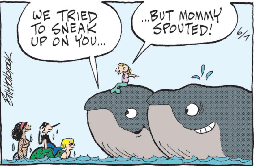 Fin OCR: WE TRIED TO SNEAK ...BUT MOMMY SPOUTED! 6/1 UP ON YOU... WE TRIED TO SNEAK ... BUT MOMMY SPOUTED ! 6/1 UP ON YOU ...