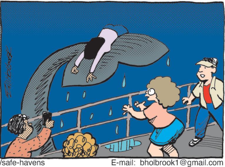 Sleep OCR: Bill Hobras /safe-havens E-mail: bholbrook1@gmail.com Bill Hobras / safe - havens E - mail : bholbrook1@gmail.com