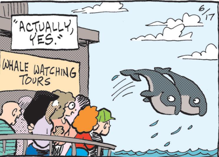 Animation OCR: "ACTUALLYYES. WHALE WATCHING TOUR'S 6/1 ?? " ACTUALLYYES . WHALE WATCHING TOUR'S 6/1 ??