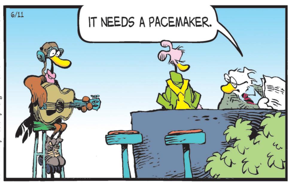 Fiction OCR: 6/11 IT NEEDS A PACEMAKER. ? 6/11 IT NEEDS A PACEMAKER . ?
