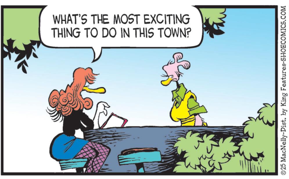 Fiction OCR: WHAT'S THE MOST EXCITING THING TO DO IN THIS TOWN? ©25 MacNelly-Dist. by King Features-SHOECOMICS.COM WHAT'S THE MOST EXCITING THING TO DO IN THIS TOWN ? © 25 MacNelly - Dist . by King Features-SHOECOMICS.COM