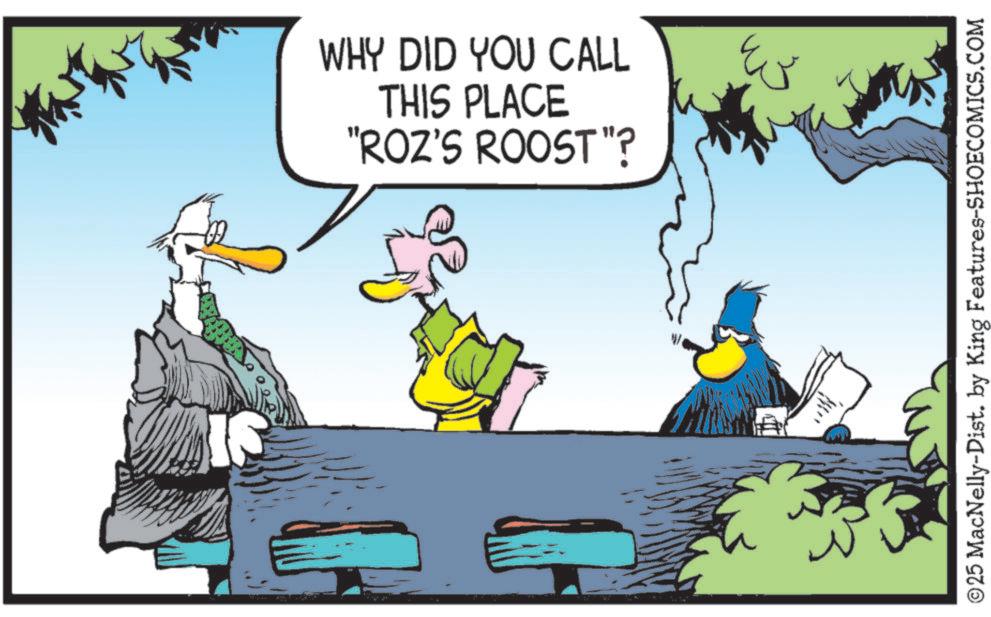 Fiction OCR: S WHY DID YOU CALL THIS PLACE "ROZ'S ROOST"? ?25 MacNelly-Dist. by King Features-SHOECOMICS.COM S WHY DID YOU CALL THIS PLACE " ROZ'S ROOST " ? ?25 MacNelly - Dist . by King Features-SHOECOMICS.COM