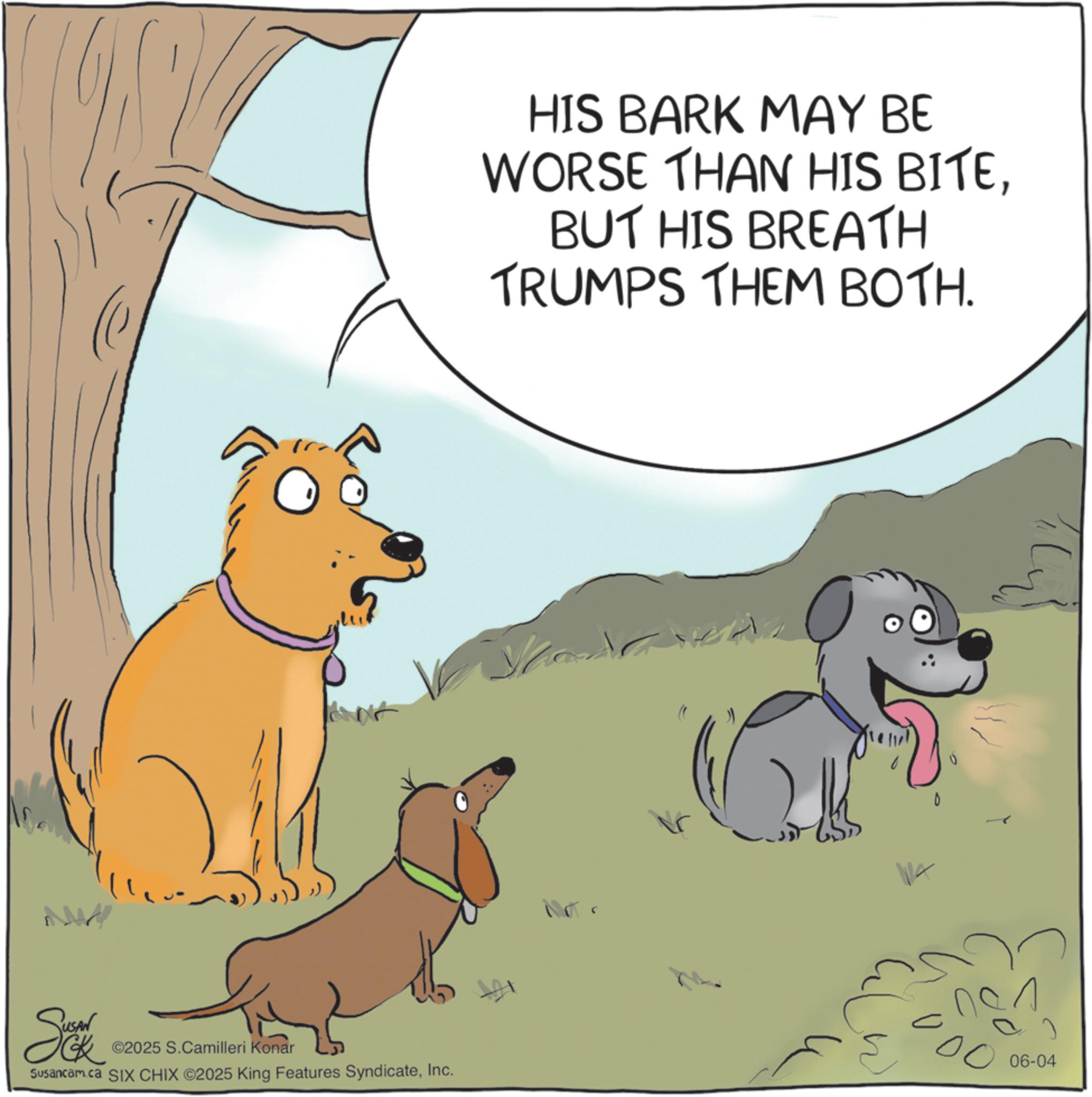 Working animal OCR: HIS BARK MAY BE WORSE THAN HIS BITEBUT HIS BREATH TRUMPS THEM BOTH. ©2025 S.Camilleri Konar Susancam.ca SIX CHIX ©2025 King Features SyndicateInc. W 00 06-04 HIS BARK MAY BE WORSE THAN HIS BITEBUT HIS BREATH TRUMPS THEM BOTH . © 2025 S.Camilleri Konar Susancam.ca SIX CHIX © 2025 King Features SyndicateInc. W 00 06-04