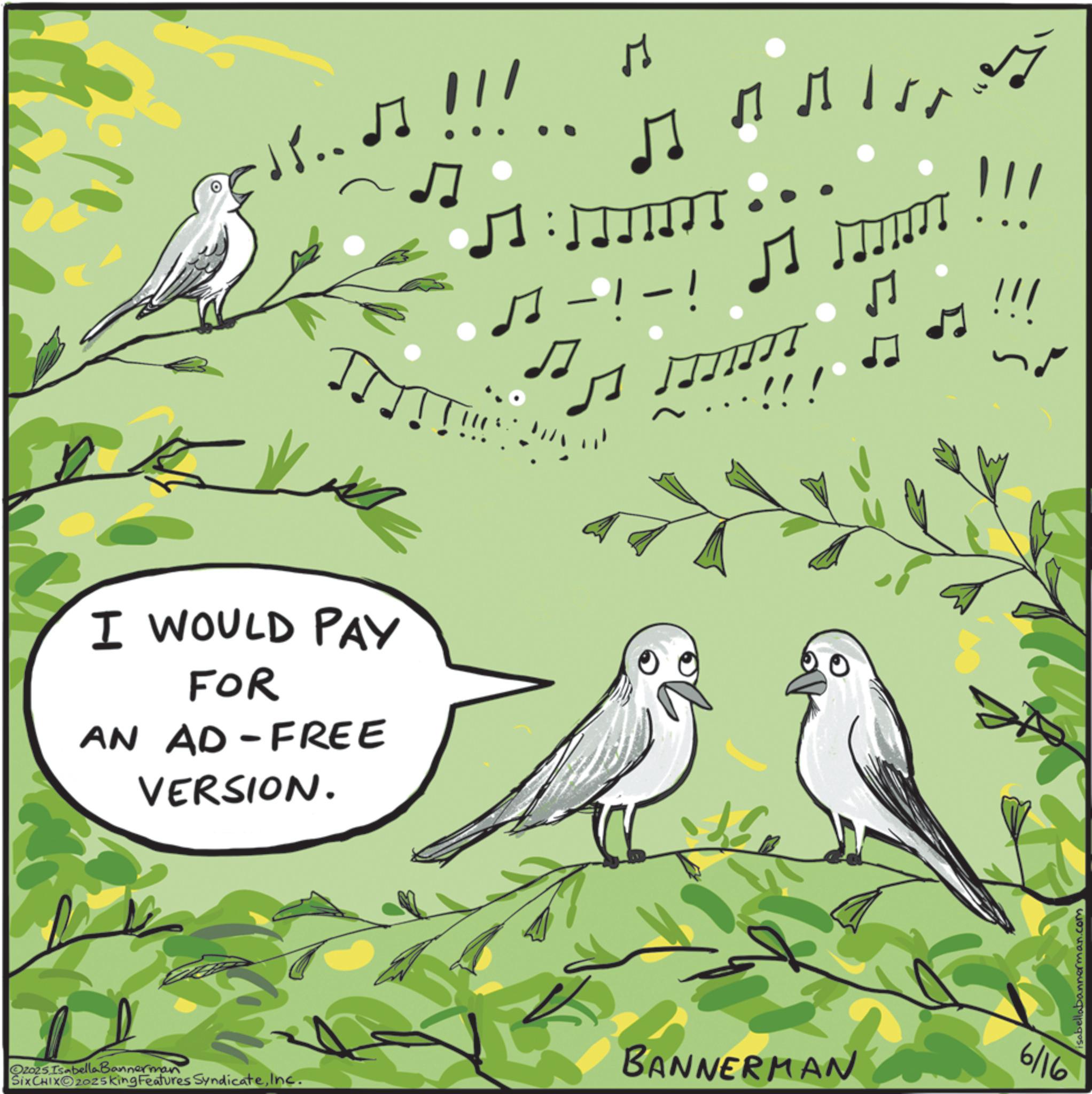 Songbirds OCR: 5... !!! I WOULD PAY FOR AN AD-FREE VERSION. -! -! ? ??? !!! !!! !!! Oz025 Isabella Bannerman SixCHIXO2025king Features SyndicateInc. BANNERMAN 6/16 isabellabannerman.com 5 ... !!! I WOULD PAY FOR AN AD - FREE VERSION . - ! - ! ? ??? !!! !!! !!! Oz025 Isabella Bannerman SixCHIXO2025king Features SyndicateInc. BANNERMAN 6/16 isabellabannerman.com