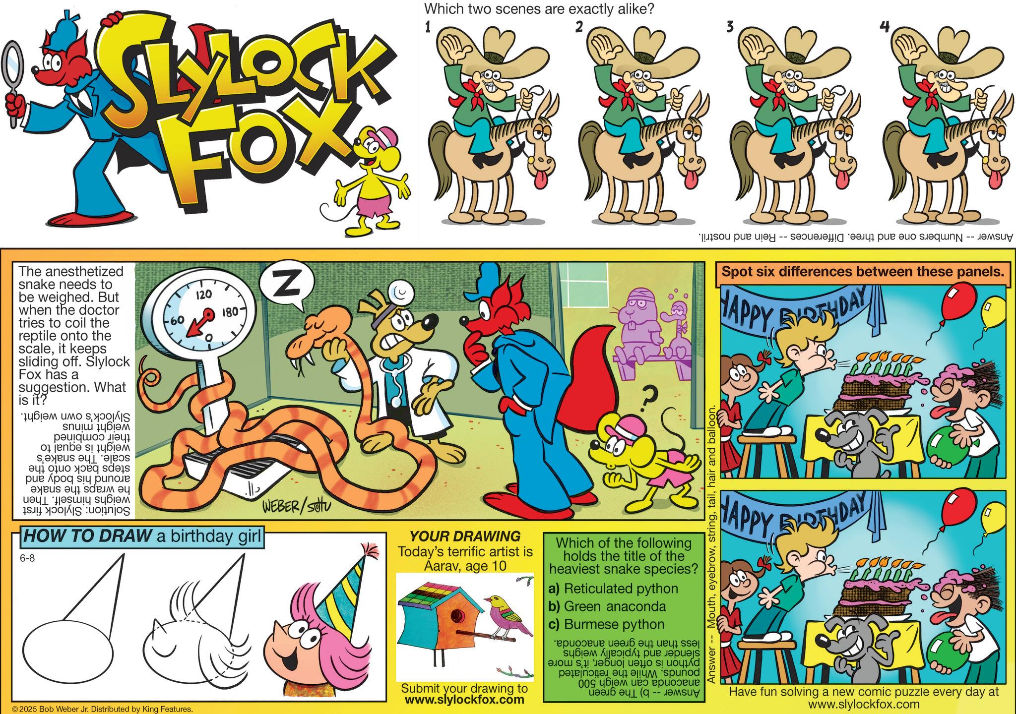 Graphics OCR: Which two scenes are exactly alike? 2 *SLOCK FOX 1 The anesthetized snake needs to be weighed. But when the doctor tries to coil the reptile onto the scaleit keeps sliding off. Slylock Fox has a suggestion. What is it? 120 180- Slylock's own weight. weight minus their combined weight is equal to scale. The snake's steps back onto the around his body and he wraps the snake weighs himself. Then Solution: Slylock first Z C HOW TO DRAW a birthday girl 6-8 WEBER/SU YOUR DRAWING Today's terrific artist is Aaravage 10 Which of the following holds the title of the heaviest snake species? a) Reticulated python b) Green anaconda c) Burmese python 2025 Bob Weber Jr. Distributed by King Features. Submit your drawing to www.slylockfox.com -- less than the green anaconda. slender and typically weighs python is often longerit's more pounds. While the reticulated anaconda can weigh 500 Answer - b) The green Answer Numbers one and three. Differences -- Rein and nostril. Spot six differences between these panels. HAPPY BIRTHDAY JJJJJ FERROE 10 HAPPY BIRTHDAY Answer Mouthhair and balloon. ?? Have fun solving a new comic puzzle every day at www.slylockfox.com Which two scenes are exactly alike ? 2 * SLOCK FOX 1 The anesthetized snake needs to be weighed . But when the doctor tries to coil the reptile onto the scaleit keeps sliding off . Slylock Fox has a suggestion . What is it ? 120 180- Slylock's own weight . weight minus their combined weight is equal to scale . The snake's steps back onto the around his body and he wraps the snake weighs himself . Then Solution : Slylock first Z C HOW TO DRAW a birthday girl 6-8 WEBER / SU YOUR DRAWING Today's terrific artist is Aaravage 10 Which of the following holds the title of the heaviest snake species ? a ) Reticulated python b ) Green anaconda c ) Burmese python 2025 Bob Weber Jr. Distributed by King Features . Submit your drawing to www.slylockfox.com -- less than the green anaconda . slender and typically weighs python is often longerit's more pounds . While the reticulated anaconda can weigh 500 Answer - b ) The green Answer Numbers one and three . Differences -- Rein and nostril . Spot six differences between these panels . HAPPY BIRTHDAY JJJJJ FERROE 10 HAPPY BIRTHDAY Answer Mouthhair and balloon . ?? Have fun solving a new comic puzzle every day at www.slylockfox.com