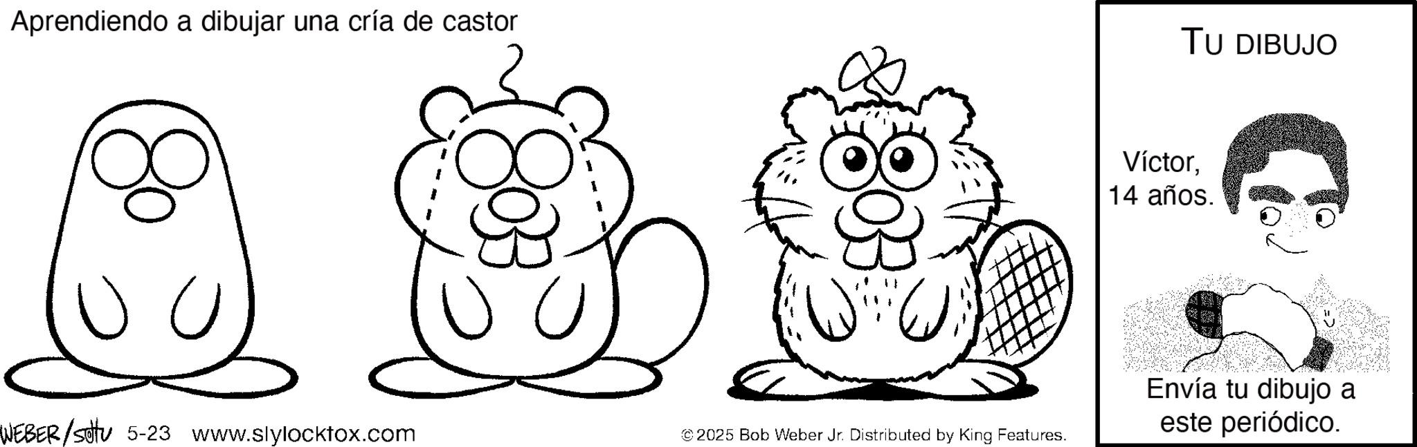 Pleased OCR: Aprendiendo a dibujar una cría de castor U WEBER/sotu 5-23 www.slylockfox.com U TU DIBUJO Víctor14 años. © 2025 Bob Weber Jr. Distributed by King Features. Envía tu dibujo a este periódico. Aprendiendo a dibujar una cría de castor U WEBER / sotu 5-23 www.slylockfox.com U TU DIBUJO Víctor14 años . © 2025 Bob Weber Jr. Distributed by King Features . Envía tu dibujo a este periódico .