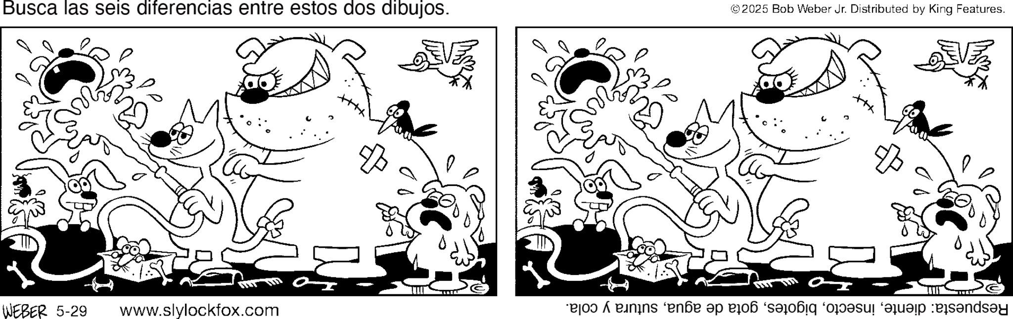 Fiction OCR: Busca las seis diferencias entre estos dos dibujos. ©2025 Bob Weber Jr. Distributed by King Features. ? + ? ??? Respuesta: dientesutura y cola. WEBER 5-29 www.slylockfox.com Busca las seis diferencias entre estos dos dibujos . © 2025 Bob Weber Jr. Distributed by King Features . ? + ? ? ?? Respuesta : dientegota de aguasutura y cola . WEBER 5-29 www.slylockfox.com