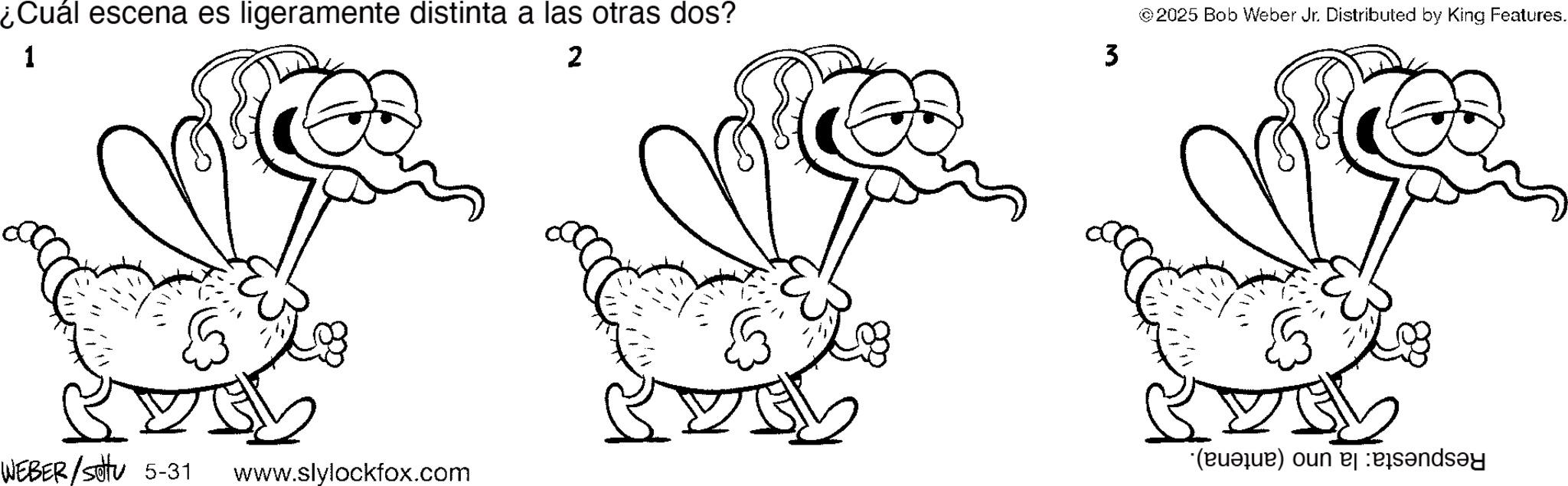 Coloring book OCR: ¿Cuál escena es ligeramente distinta a las otras dos? 1 2 3 © 2025 Bob Weber Jr. Distributed by King Features. WEBER /settu 5-31 www.slylockfox.com (c) ¿ Cuál escena es ligeramente distinta a las otras dos ? 1 2 3 © 2025 Bob Weber Jr. Distributed by King Features . WEBER / settu 5-31 www.slylockfox.com ( c )