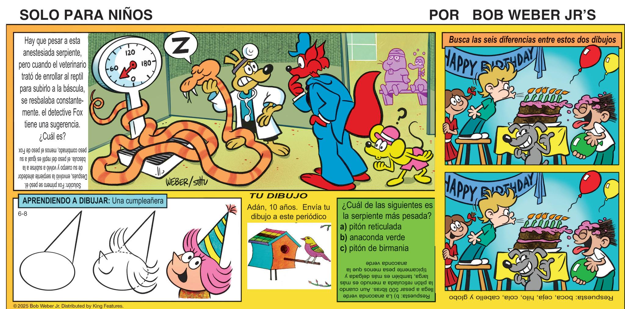 Pleased OCR: N SOLO PARA NIÑOS Hay que pesar a esta anestesiada serpientepero cuando el veterinario trató de enrollar al reptil para subirlo a la básculase resbalaba constante- mente. el detective Fox tiene una sugerencia. ¿Cuál es? 120 20 180- T báscula. el peso del reptil es igual a su de su cuerpo y volvió a subirse a la Despuésenvolvió la serpiente alrededor Solución: Fox primero se pesó él. peso combinadomenos el peso de Fox WEBER/SOU APRENDIENDO A DIBUJAR: Una cumpleañera 6-8 2025 Bob Weber Jr. Distributed by King Features. POR BOB WEBER JR'S Busca las seis diferencias entre estos dos dibujos HAPPY BIRTHDAY LOUCE TU DIBUJO Adán10 años. Envía tu dibujo a este periódico ¿Cuál de las siguientes es la serpiente más pesada? a) pitón reticulada b) anaconda verde c) pitón de birmania HAPPY BIRTHDA VYDAY Respuesta: bocacabello y globo anaconda verde típicamente pesa menos que la largatambién es más delgada y la pitón reticulada a menudo es más llega a pesar 500 libras. Aun cuando Respuesta: b) La anaconda verde N SOLO PARA NIÑOS Hay que pesar a esta anestesiada serpientepero cuando el veterinario trató de enrollar al reptil para subirlo a la básculase resbalaba constante- mente . el detective Fox tiene una sugerencia . ¿ Cuál es ? 120 20 180- T báscula . el peso del reptil es igual a su de su cuerpo y volvió a subirse a la Despuésenvolvió la serpiente alrededor Solución : Fox primero se pesó él . peso combinadomenos el peso de Fox WEBER / SOU APRENDIENDO A DIBUJAR : Una cumpleañera 6-8 2025 Bob Weber Jr. Distributed by King Features . POR BOB WEBER JR'S Busca las seis diferencias entre estos dos dibujos HAPPY BIRTHDAY LOUCE TU DIBUJO Adán10 años . Envía tu dibujo a este periódico ¿ Cuál de las siguientes es la serpiente más pesada ? a ) pitón reticulada b ) anaconda verde c ) pitón de birmania HAPPY BIRTHDA VYDAY Respuesta : bocacabello y globo anaconda verde típicamente pesa menos que la largatambién es más delgada y la pitón reticulada a menudo es más llega a pesar 500 libras . Aun cuando Respuesta : b ) La anaconda verde