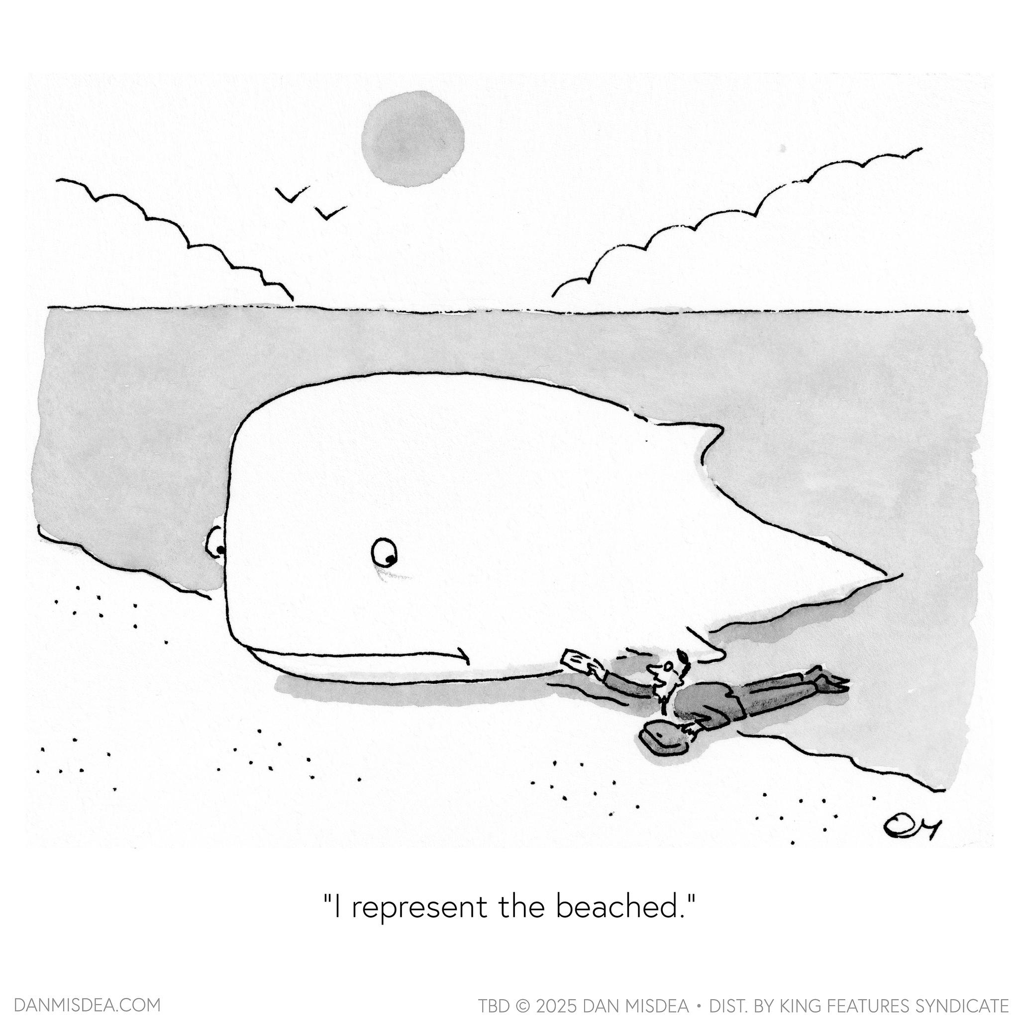 Line art OCR: DANMISDEA.COM 0 Es ?? "I represent the beached." TBD 2025 DAN MISDEA • DIST. BY KING FEATURES SYNDICATE DANMISDEA.COM 0 Es ?? " I represent the beached . " TBD 2025 DAN MISDEA • DIST . BY KING FEATURES SYNDICATE