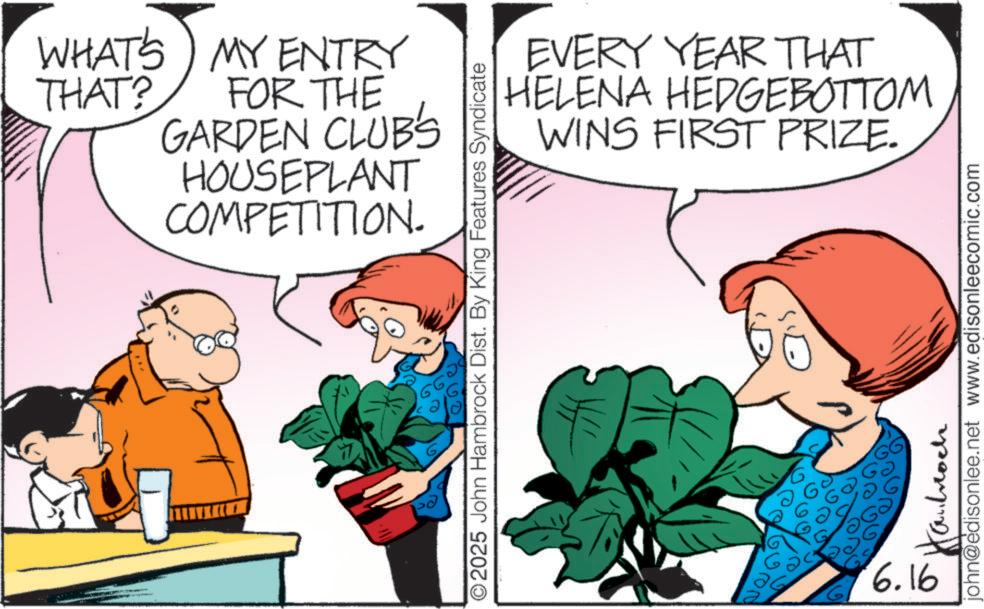 Happiness OCR: WHAT'S MY ENTRY THAT? FOR THE GARDEN CLUBS HOUSEPLANT COMPETITION. EVERY YEAR THAT HELENA HEDGEBOTTOM WINS FIRST PRIZE. 2025 John Hambrock Dist. By King Features Syndicate ???? 2 20' 6.16 john@edisonlee.net www.edisonleecomic.com WHAT'S MY ENTRY THAT ? FOR THE GARDEN CLUBS HOUSEPLANT COMPETITION . EVERY YEAR THAT HELENA HEDGEBOTTOM WINS FIRST PRIZE . 2025 John Hambrock Dist . By King Features Syndicate ???? 2 20 ' 6.16 john@edisonlee.net www.edisonleecomic.com