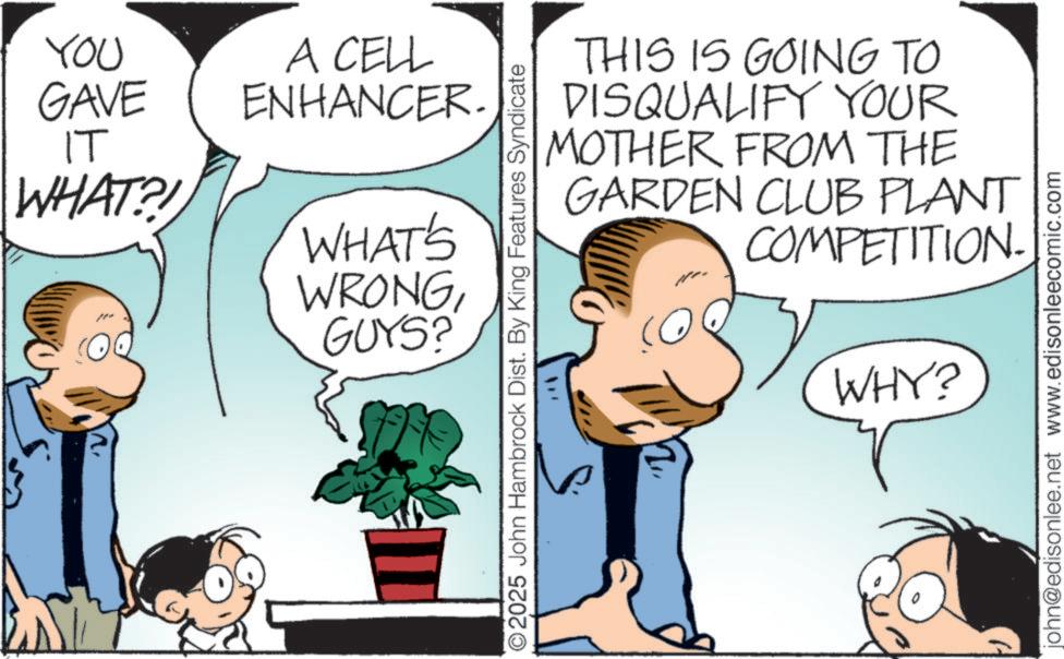 Fictional character OCR: YOU GAVE IT A CELL ENHANCER. WHAT?! WHAT'S WRONG GUYS? 2025 John Hambrock Dist. By King Features Syndicate THIS IS GOING TO DISQUALIFY YOUR MOTHER FROM THE GARDEN CLUB PLANT COMPETITION. WHY? 2/1 john@edisonlee.net www.edisonleecomic.com YOU GAVE IT A CELL ENHANCER . WHAT ?! WHAT'S WRONG GUYS ? 2025 John Hambrock Dist . By King Features Syndicate THIS IS GOING TO DISQUALIFY YOUR MOTHER FROM THE GARDEN CLUB PLANT COMPETITION . WHY ? 2/1 john@edisonlee.net www.edisonleecomic.com