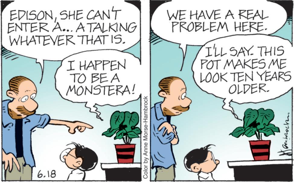Animated cartoon OCR: 6.18 # EDISONSHE CAN'T ENTER A... A TALKING WHATEVER THAT IS. I HAPPEN TO BE A MONSTERA! WE HAVE A REAL PROBLEM HERE. I'LL SAY THIS POT MAKES ME LOOK TEN YEARS OLDER. Color by Anne Morse-Hambrock ambrocken 6.18 # EDISONSHE CAN'T ENTER A ... A TALKING WHATEVER THAT IS . I HAPPEN TO BE A MONSTERA ! WE HAVE A REAL PROBLEM HERE . I'LL SAY THIS POT MAKES ME LOOK TEN YEARS OLDER . Color by Anne Morse - Hambrock ambrocken