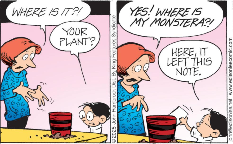 Publication OCR: WHERE IS IT?! YOUR PLANT? ©2025 John Hambrock Dist. By King Features Syndicate GO YES! WHERE IS MY MONSTERA?! HEREIT LEFT THIS NOTE. john@edisonlee.net www.edisonleecomic.com WHERE IS IT ?! YOUR PLANT ? © 2025 John Hambrock Dist . By King Features Syndicate GO YES ! WHERE IS MY MONSTERA ?! HEREIT LEFT THIS NOTE . john@edisonlee.net www.edisonleecomic.com