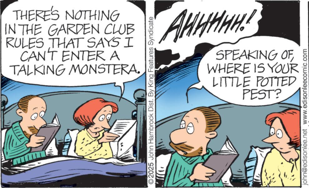 Fictional character OCR: THERE'S NOTHING IN THE GARDEN CLUB RULES THAT SAYS I CAN'T ENTER A TALKING MONSTERA. ©2025 John Hambrock Dist. By King Features Syndicate AHHHHH SPEAKING OF § WHERE IS YOUR LITTLE POTTED PEST? john@edisonlee.net www.edisonleecomic.com THERE'S NOTHING IN THE GARDEN CLUB RULES THAT SAYS I CAN'T ENTER A TALKING MONSTERA . © 2025 John Hambrock Dist . By King Features Syndicate AHHHHH SPEAKING OF § WHERE IS YOUR LITTLE POTTED PEST ? john@edisonlee.net www.edisonleecomic.com