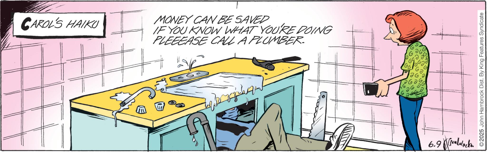 Homemaking OCR: CAROL'S HAIKU MONEY CAN BE SAVED IF YOU KNOW WHAT YOU'RE DOING PLEEEASE CALL A PLUMBER. 6.9lack ©2025 John Hambrock Dist. By King Features Syndicate CAROL'S HAIKU MONEY CAN BE SAVED IF YOU KNOW WHAT YOU'RE DOING PLEEEASE CALL A PLUMBER . 6.9lack © 2025 John Hambrock Dist . By King Features Syndicate